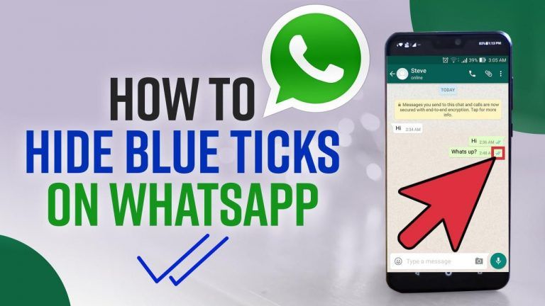 Want To Enable or Disable Last Seen And Blue Tick On WhatsApp? Here's How You Can Do It | Watch Video